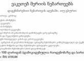 მერიის ნებართვები