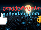 ელექტრიკოსი გამოძახებით